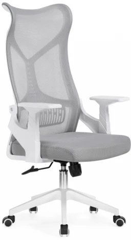 Компьютерное кресло Woodville Klif gray / white 15606