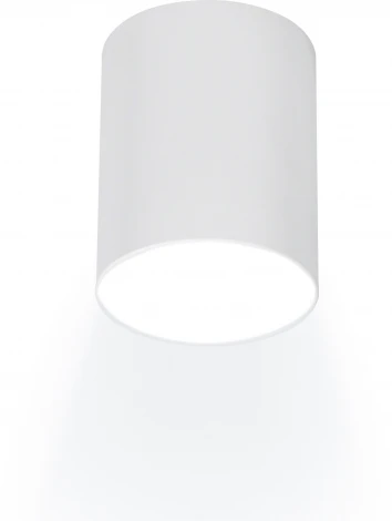 Накладной светильник Ritter Arton 59978 4