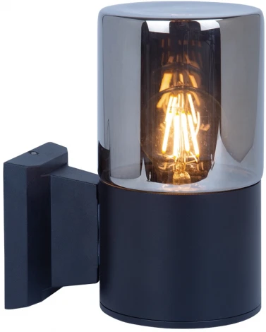 Уличный настенный светильник Arte Lamp Wazn A6218AL-1BK (220V, круглые, IP54)