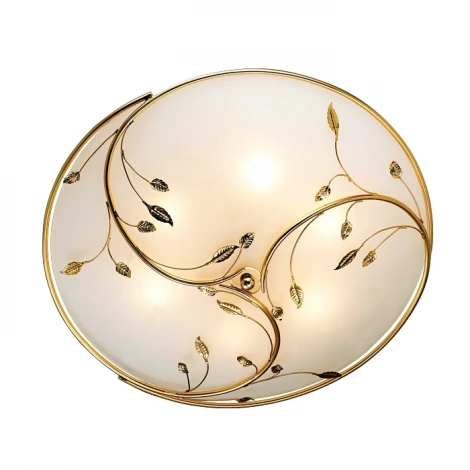 Настенно-потолочный светильник Odeon Light Regana 2728/6C