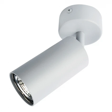 Спот Arte Lamp Aquarius A3216PL-1GY (220V, круглые)