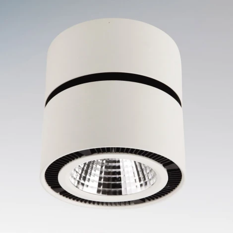 Спот карданный Lightstar Forte Muro 214830 (LED, 220V, круглые)