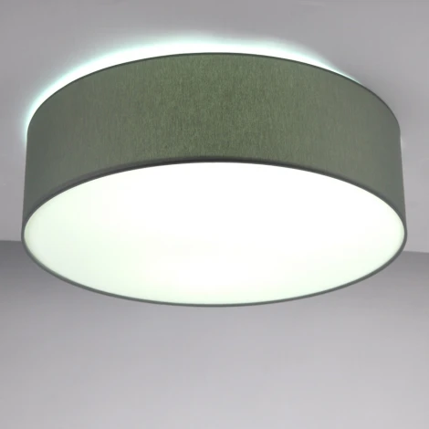 Потолочный светильник круглый Lighthall Camerona 65 LH022028