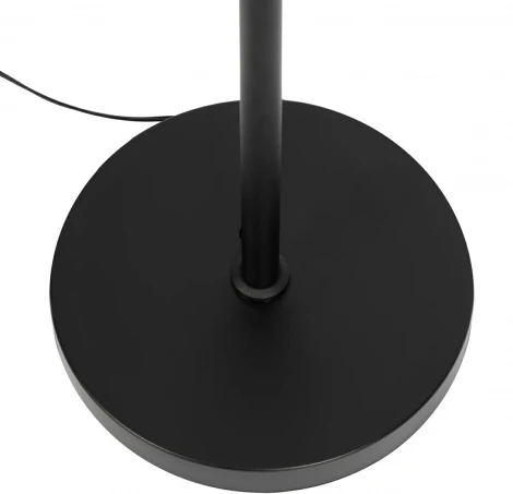 Торшер на гибкой ножке с таймером Citilux Alex CL804051 (LED, 220V, пульт управления, сенсорный выключатель)