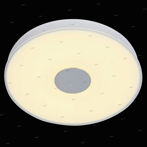 Потолочный светильник ST Luce Semplicita SL473.502.01