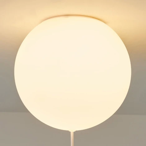 Потолочный светильник круглый Wasty E D13 ImperiumLoft Wasty01 (для детской, 220V, шар, животные)