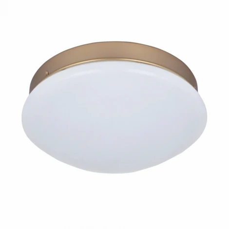 Потолочный светильник F-Promo Ledante 2466-1C