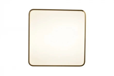 Потолочный светильник Zortes Monna ZRS.1209.03 (LED, 220V)