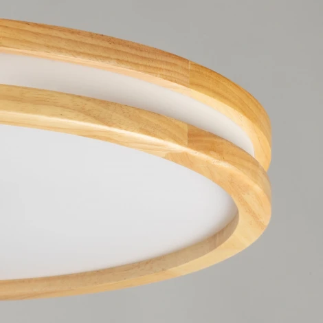 Потолочный светильник круглый светодиодный De City Норден 660015401