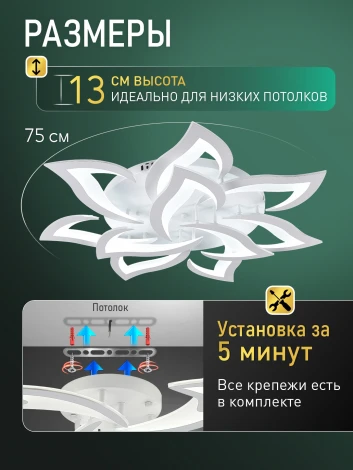 Потолочная люстра светодиодная Natali Kovaltseva Olimp Ii LED LAMPS 85008