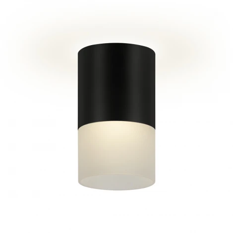 Накладной светильник Ritter Essen 52060 3