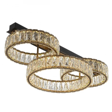 Потолочная люстра светодиодная Citilux Palant CL325162