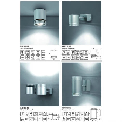 Потолочный светильник Imex Техно-203 IL.0001.0100