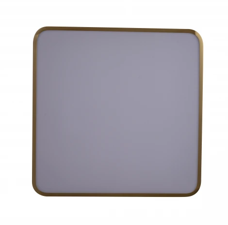 Потолочный светильник Zortes Monna ZRS.1209.03 (LED, 220V)