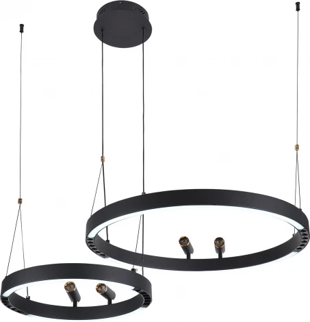 Подвесной светильник со спотами F-Promo Slinga 4474-2P (LED, 220V, на проводе, кольцо)