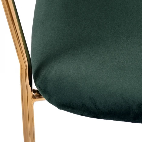 Комплект из 2-х стульев Turin зеленый с золотыми ножками Bradexhome арт.FR 0558P