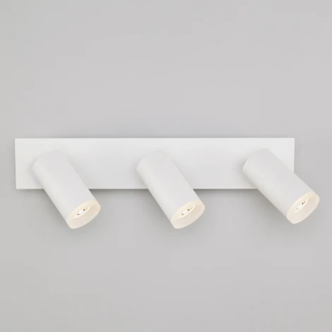 Спот Eurosvet Holly 20067/3 белый