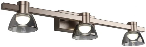 Настенный светильник Aployt Rezeda APL.788.01.03 (LED, 220V)