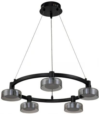 Подвесной светильник светодиодный Stilfort Gloze 4009/02/05P (220V, на тросе, круглые)