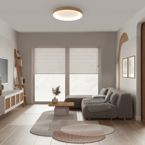 Потолочный светильник круглый Mantra Niseko 8587 (регулировка яркости, LED, 220V, пульт управления, круглые)