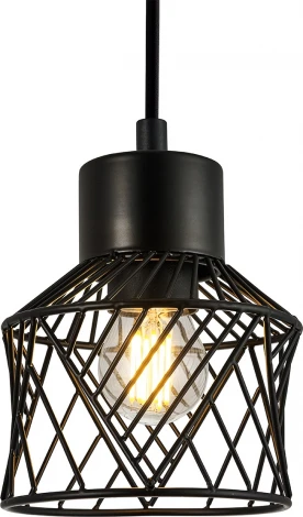 Подвесной светильник Escada Averio 10174/1S Black 1х40Вт Е27, металл, черный (220V, на проводе, круглые)