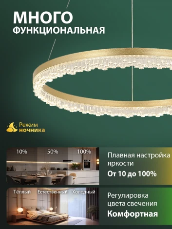 Подвесной светильник светодиодный Natali Kovaltseva Day LED LAMPS 81486 (регулировка яркости, 220V, пульт управления, на тросе, кольцо)