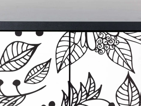 Шкаф 2-дверный Boho Color ОГОГО (арт.599519), (ЛДСП/Черный)