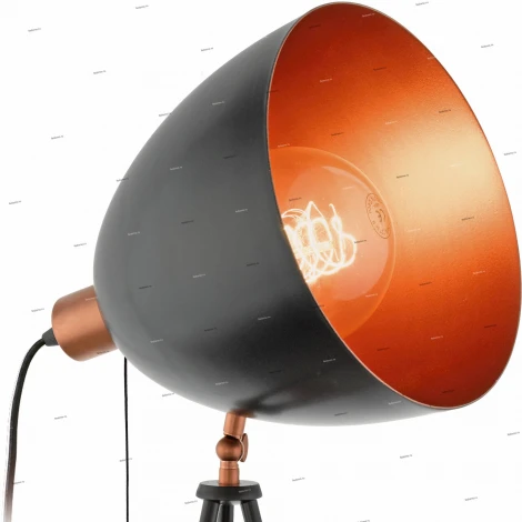 Торшер на треноге Eglo Chester 49386 (220V, выключатель)