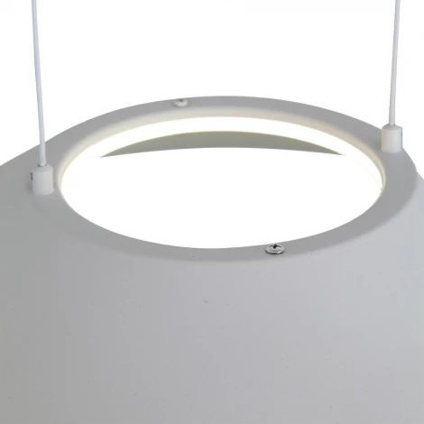 Подвесной светильник ST Luce Pitto SL427.513.01