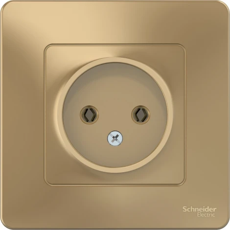 Розетка встраиваемая без заземления (титан) Systeme Electric Blanca BLNRS000014