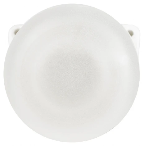 Настенный светильник влагозащищенный ЭРА НББ 02 НББ 02-60-002