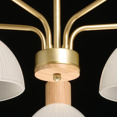 Потолочная люстра на штанге De City Дэла 635016405