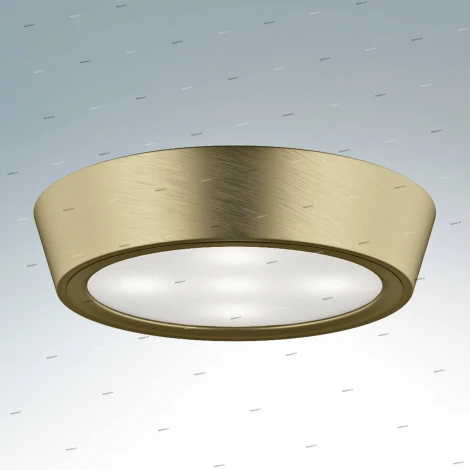 Потолочный светильник круглый Lightstar Urbano Mini 214712 (LED, 220V, IP65)