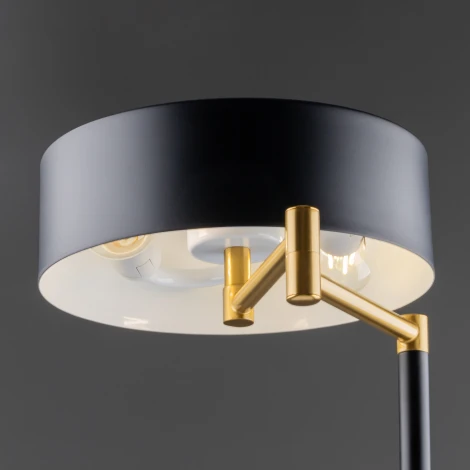 Настольная лампа Freya Izza FR4008TL-02BBS (220V)