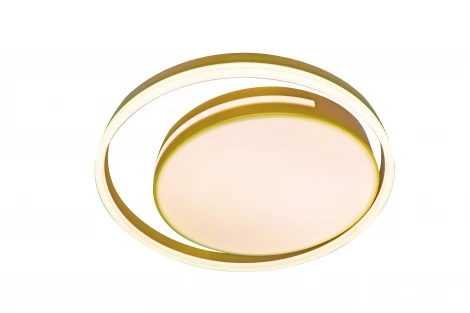 Потолочный светильник Natali Kovaltseva LED LAMPS 81304