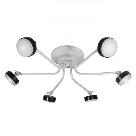 Потолочная люстра Day&Night S9171-6