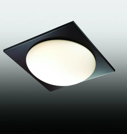 Настенно-потолочный светильник Odeon Light Brido 2763/2C