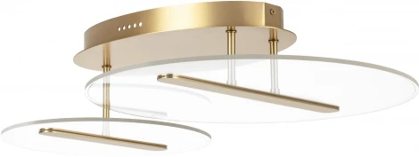 Потолочная люстра на штанге Lightstar Acrile 738053 (LED, 220V, круглые)