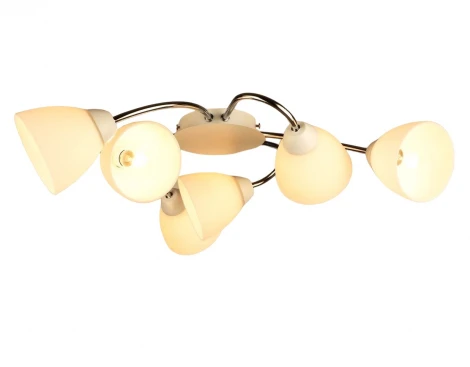 Потолочная люстра Мелодия Света SL1N 000029921