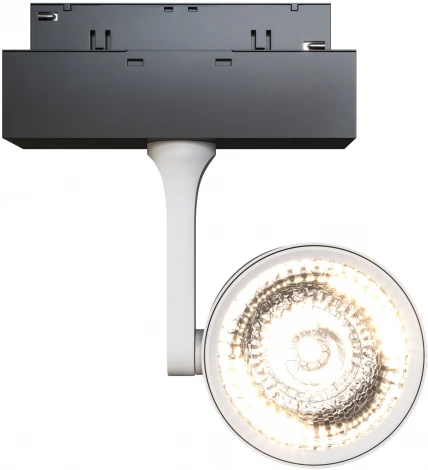 Трековый светильник Maytoni Track lamps TR024-2-10W4K