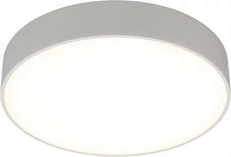 Потолочный светильник круглый Aployt Evon APL.0114.09.24 (LED, 220V, круглые)