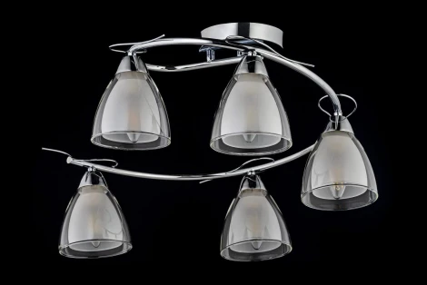 Потолочная люстра Arti Lampadari Paola Paola E 1.1.5 N (220V)