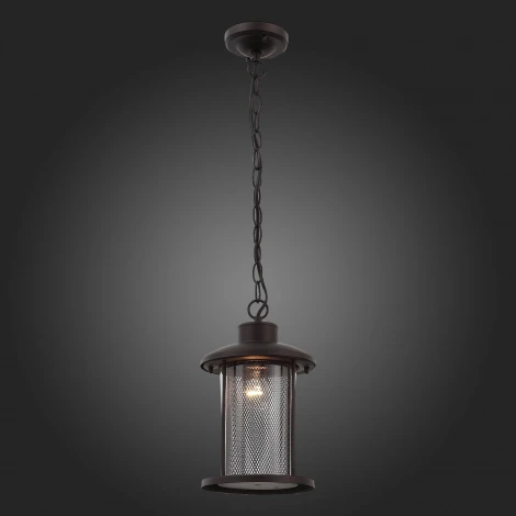 Уличный светильник подвесной ST Luce Lastero SL080.403.01 (220V, на цепи, IP54)