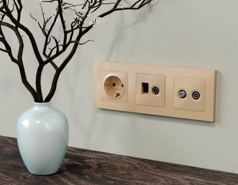 Лицевая панель для Ethernet RJ-45/телефонной RJ-11 и ТВ-розетки (шампань) Ambrella Volt QUANT AP6125