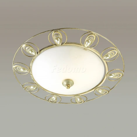 Настенно-потолочный светильник Odeon Light Kanti 3483/2C