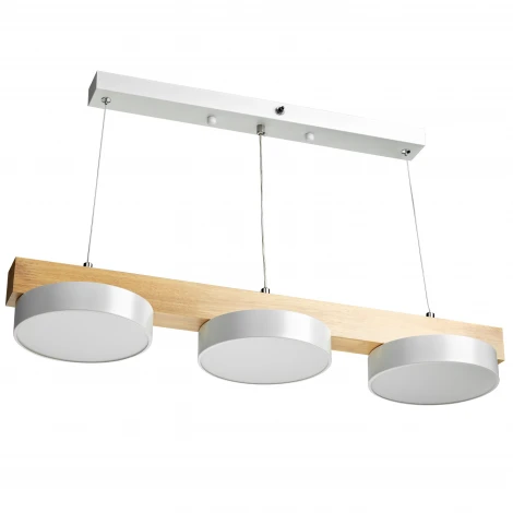 Подвесной светильник светодиодный Ritter Racemo 51607 5