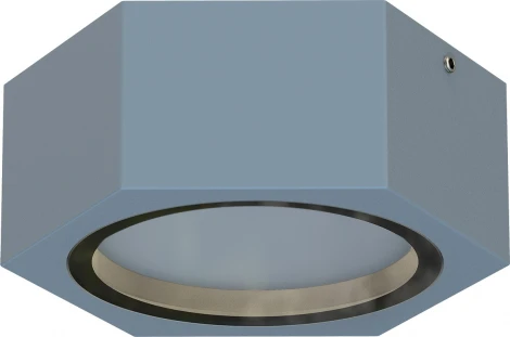 Потолочный светильник уличный Favourite Fantum 4666-1U (220V, круглые, IP54)