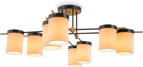 Потолочная люстра на штангу (220V)