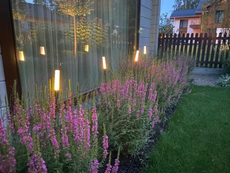 Наземный уличный светильник IP65 Камыш LD-Lighting LD-RD003