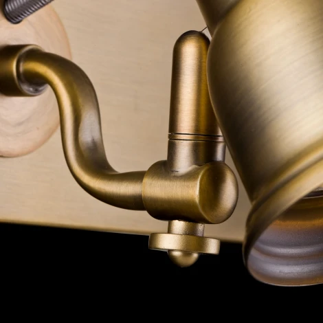 Спот Maytoni Borgo SP315-CW-02-BS